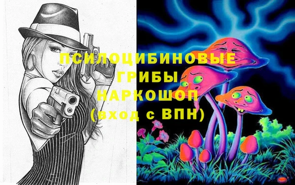 МДПВ Гусиноозёрск