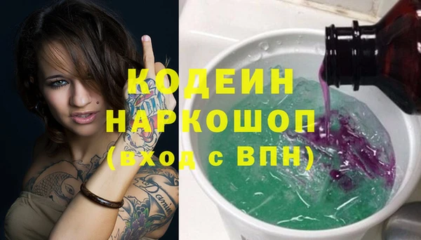 гашик Гусев