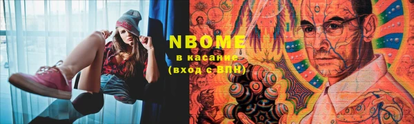 гашик Гусев